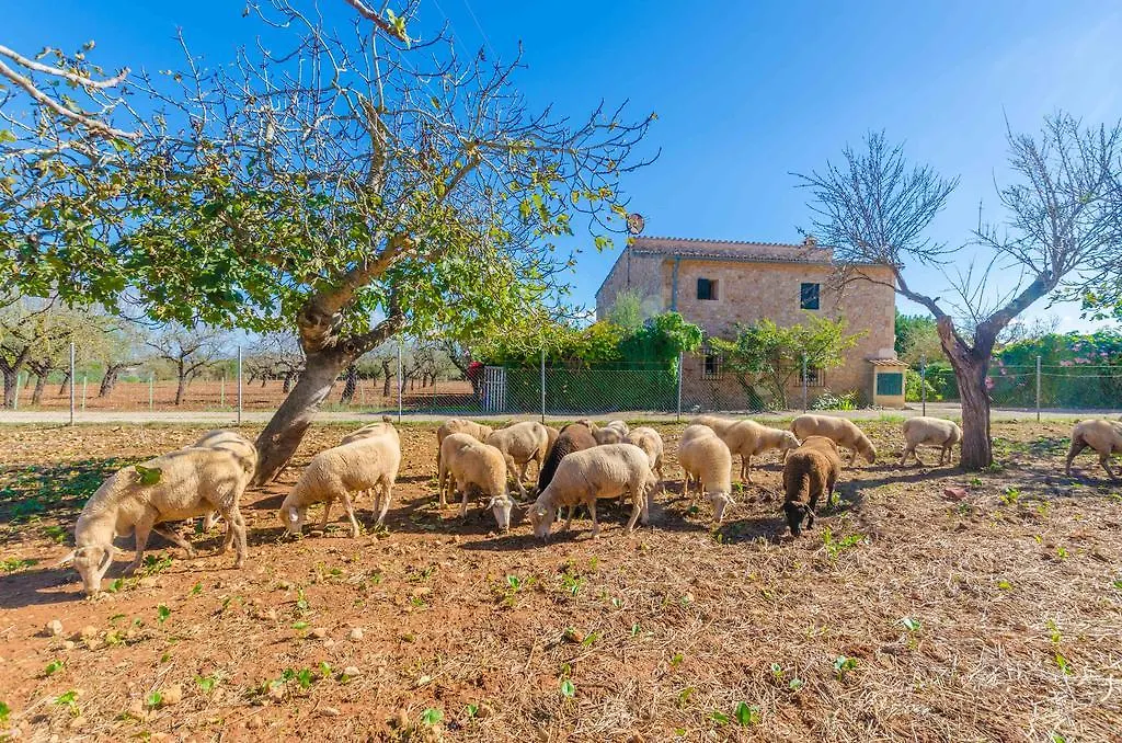 Sa Mata Villa Campanet